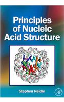 Principles of Nucleic Acid Structure