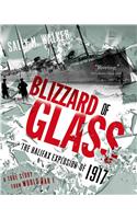 Blizzard of Glass