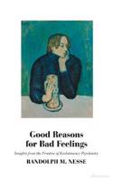 Good Reasons for Bad Feelings