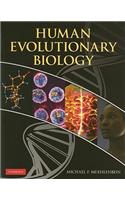 Human Evolutionary Biology