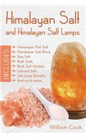 Himalayan Salt and Himalayan Salt Lamps