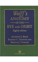 Wolff'S Anatomy Of The Eye & Orbit