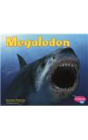 Megalodon