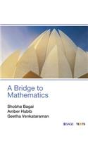 A Bridge to Mathematics