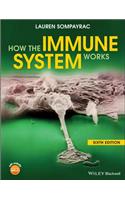 How the Immune System Works