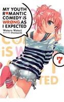 My Youth Romantic Comedy Is Wrong, as I Expected, Vol. 7 (Light Novel)