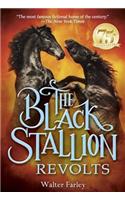 The Black Stallion Revolts