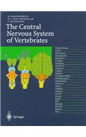 Central Nervous System of Vertebrates: An Introduction to Structure and Function