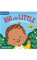 Indestructibles: Big and Little: A Book of Opposites