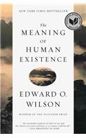 The Meaning of Human Existence