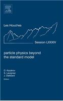 Particle Physics Beyond the Standard Model