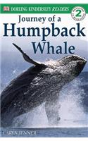 The Journey of a Humpback Whale