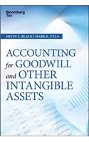 Accounting for Goodwill and Other Intangible Assets