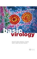 Basic Virology