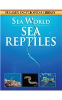 Marine Reptiles