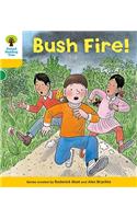 Oxford Reading Tree: Level 5: Decode and Develop Bushfire!