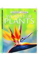 Usborne World of Plants