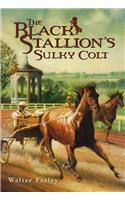 The Black Stallion's Sulky Colt