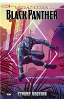 Marvel Action: Black Panther: Stormy Weather (Book One)