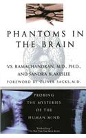 Phantoms in the Brain