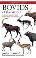 Bovids of the World