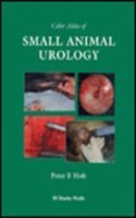 Color Atlas Of Small Animal Urology