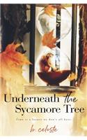 Underneath the Sycamore Tree