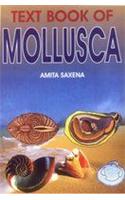 Text Book of Mollusca