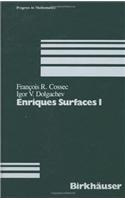 Enriques Surfaces I