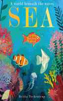 Sea: A World Beneath the Waves