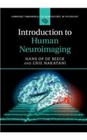 Introduction to Human Neuroimaging