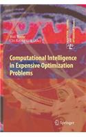 Computational Intelligence in Expensive Optimization Problems