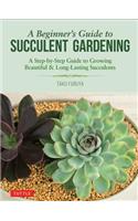 A Beginner's Guide to Succulent Gardening