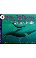 Baby Whales Drink Milk