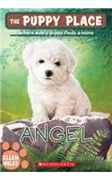 Angel (the Puppy Place #46)