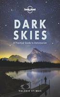 Dark Skies 1