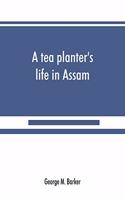 A tea planter's life in Assam