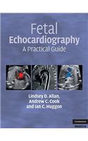 Fetal Echocardiography