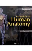 Essentials of Human Anatomy