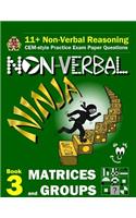 11+ Non Verbal Reasoning