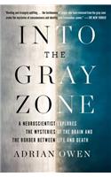 Into the Gray Zone