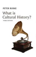 What Is Cultural History?