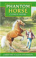 Phantom Horse - Comes Home: The Wild Palomino. Age 8+