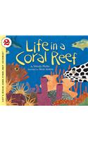 Life in a Coral Reef