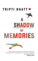 A Shadow of Memories