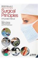 BSAVA Manual of Canine and Feline Surgical Principles