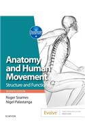 Anatomy and Human Movement