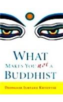 What Makes You Not A Buddhist