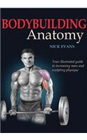 Bodybuilding Anatomy