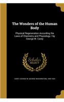 The Wonders of the Human Body